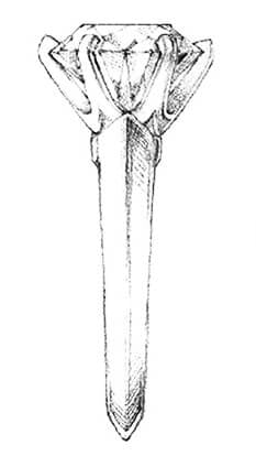 bottom-image-1